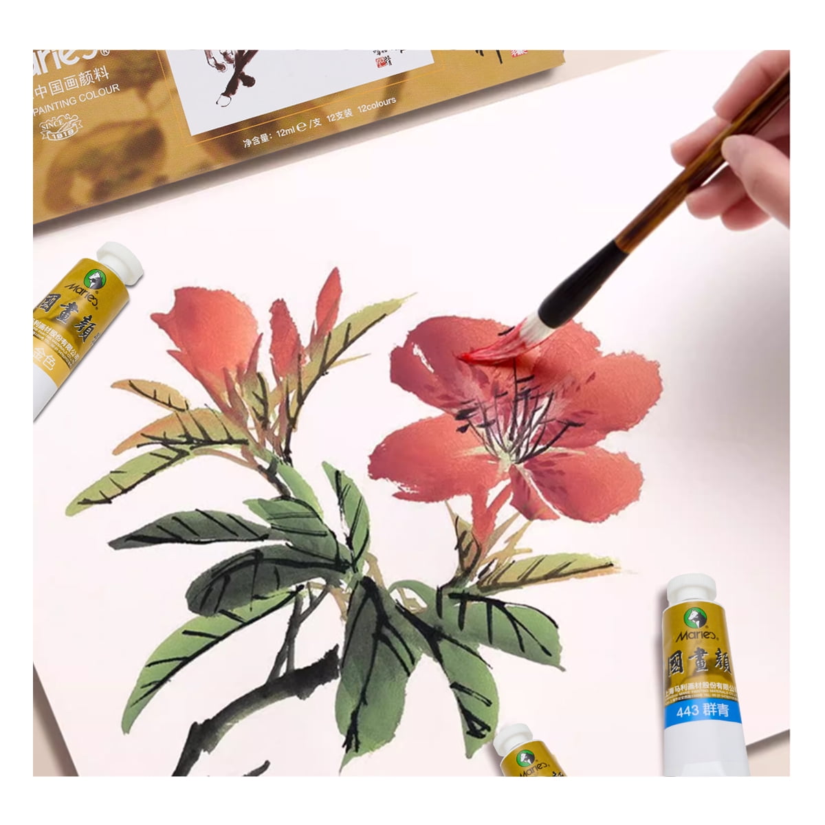 Marie's Artist Chinese Watercolor Paint Set - Professional Quality High Pigment for Vivid Color Mixing - 36 x 12 ml Tubes