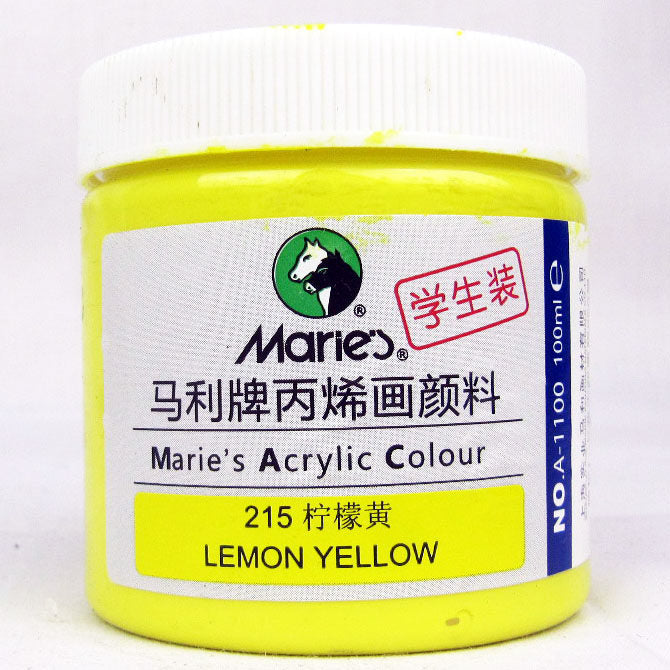 Acrylic Paint for Wall Art, 100ml/500ml (16.9Fl Oz), Rich Pigment, Waterproof Paint for Canvas/Wood/Clay, DIY Craft Supplies