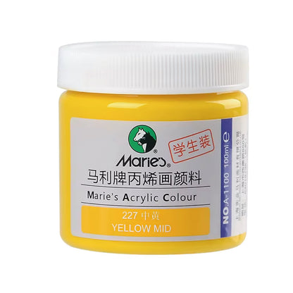 Acrylic Paint for Wall Art, 100ml/500ml (16.9Fl Oz), Rich Pigment, Waterproof Paint for Canvas/Wood/Clay, DIY Craft Supplies