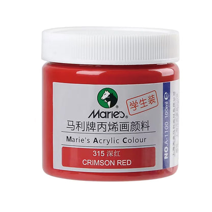Acrylic Paint for Wall Art, 100ml/500ml (16.9Fl Oz), Rich Pigment, Waterproof Paint for Canvas/Wood/Clay, DIY Craft Supplies