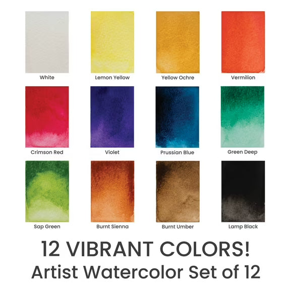Marie's Artist Extra Fine Watercolor Sets - High Pigment and Concentration 12mL Watercolor Paint Set for Artist, Students, Teachers, Professionals, & More! - Set of 12