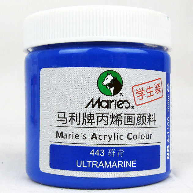 Acrylic Paint for Wall Art, 100ml/500ml (16.9Fl Oz), Rich Pigment, Waterproof Paint for Canvas/Wood/Clay, DIY Craft Supplies