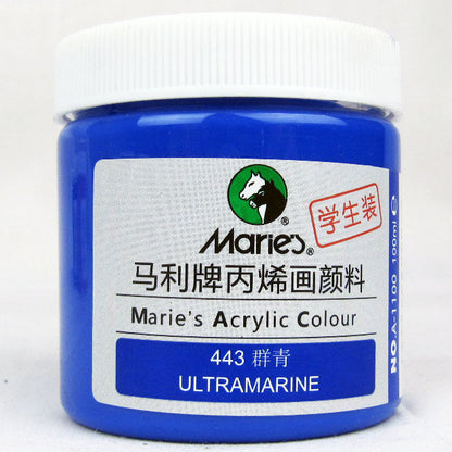 Acrylic Paint for Wall Art, 100ml/500ml (16.9Fl Oz), Rich Pigment, Waterproof Paint for Canvas/Wood/Clay, DIY Craft Supplies