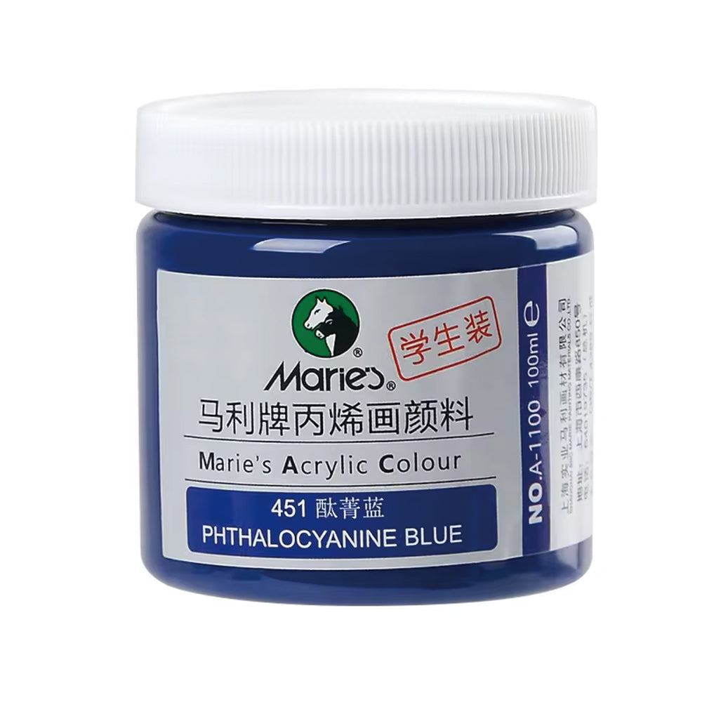 Acrylic Paint for Wall Art, 100ml/500ml (16.9Fl Oz), Rich Pigment, Waterproof Paint for Canvas/Wood/Clay, DIY Craft Supplies