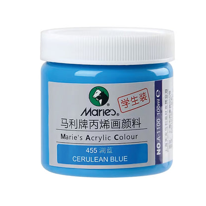Acrylic Paint for Wall Art, 100ml/500ml (16.9Fl Oz), Rich Pigment, Waterproof Paint for Canvas/Wood/Clay, DIY Craft Supplies