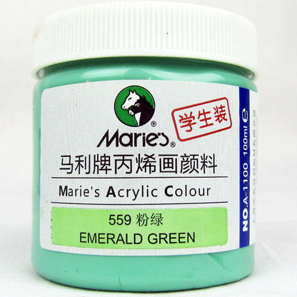 Acrylic Paint for Wall Art, 100ml/500ml (16.9Fl Oz), Rich Pigment, Waterproof Paint for Canvas/Wood/Clay, DIY Craft Supplies