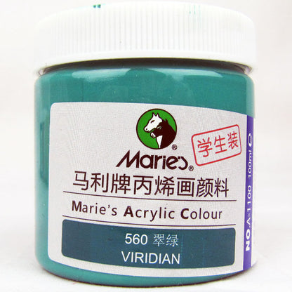 Acrylic Paint for Wall Art, 100ml/500ml (16.9Fl Oz), Rich Pigment, Waterproof Paint for Canvas/Wood/Clay, DIY Craft Supplies