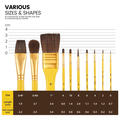 Watercolor Brushes Set,10 Artist Brushes Watercolor Paint Brushes, Premium Paint Brushes for Acrylic, Oil, Watercolor Paintings, Art Supplies for Artists